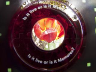 UV test - CD-R Memorex Black Music - barva polykarbonátu