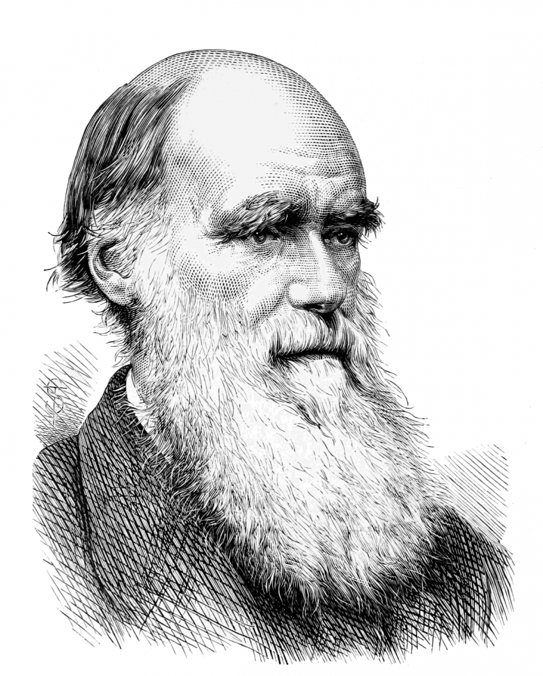 Darwin Portret