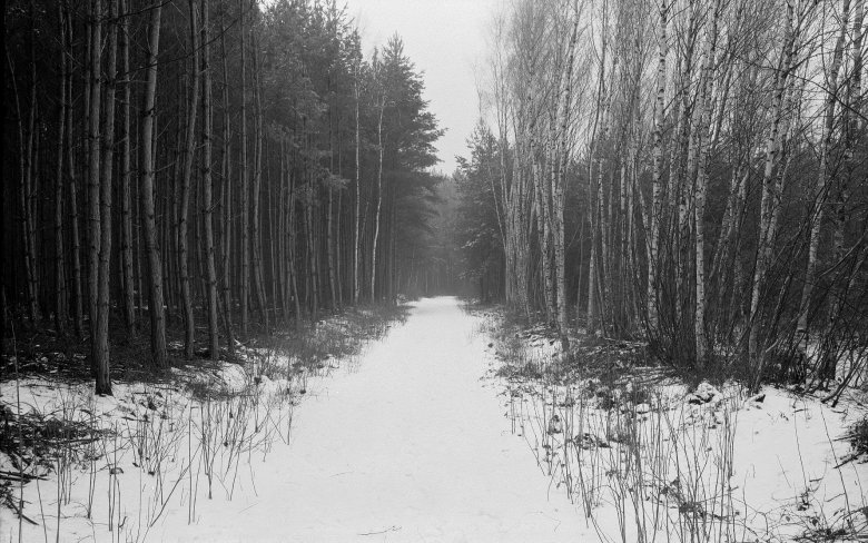 David Jezek Scan 130217 0001 Mosk 9 Tsge