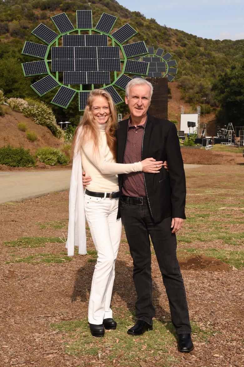 James Cameron Solar Sunflowers