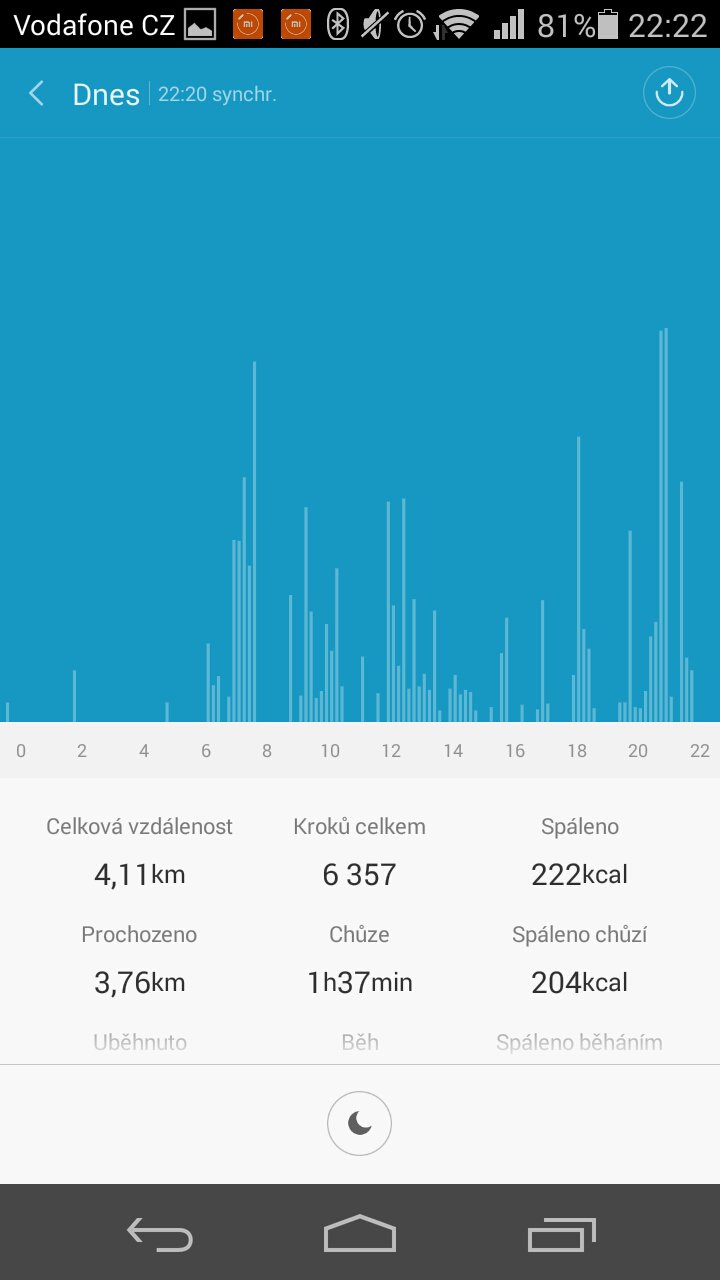 Mi Fit Steps 2