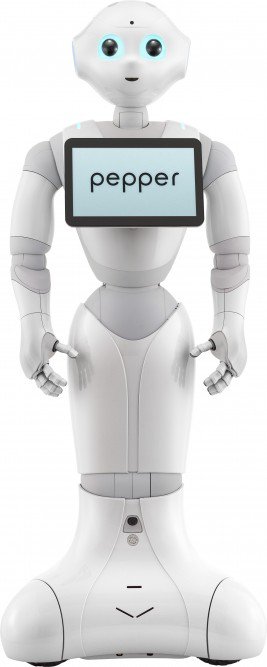 Pepper Robot 3