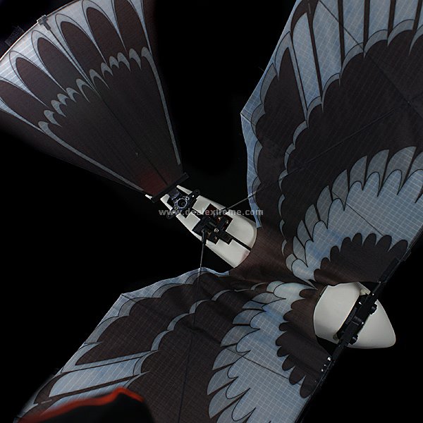 Podobne Droni Ptactvo 2