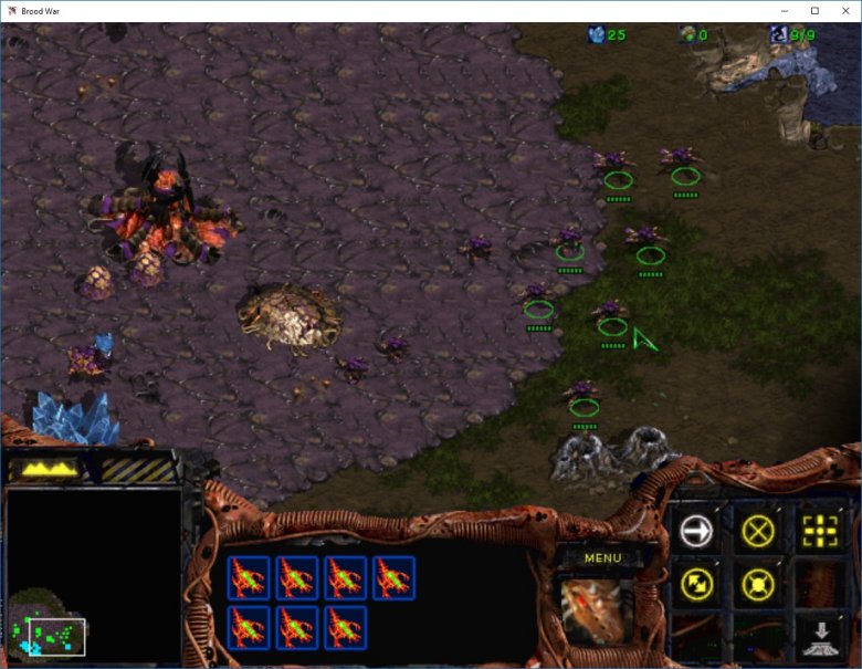 Starcraft 1 New 1