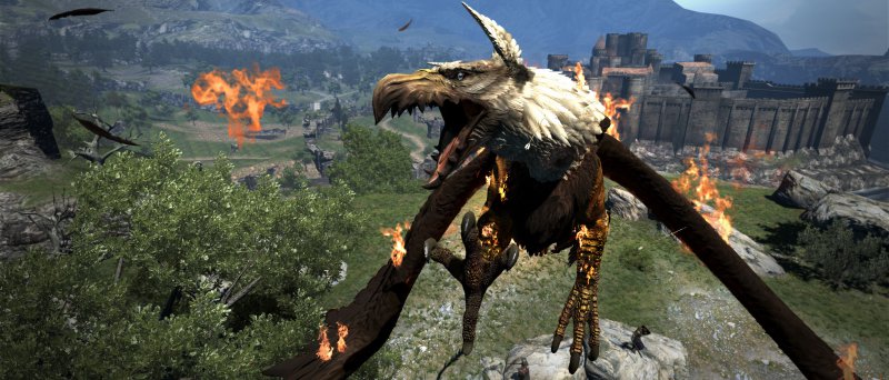 Dragons Dogma 1