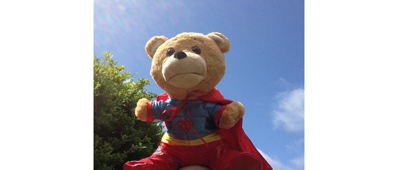 supertoy teddy