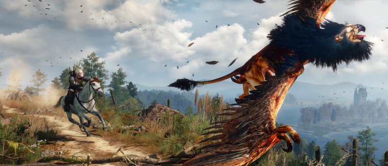 The Witcher 3 Wild Hunt Official 100