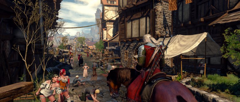 The Witcher 3 Wild Hunt Official 101