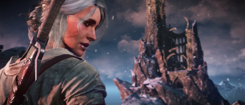 The Witcher 3 Wild Hunt Official 114
