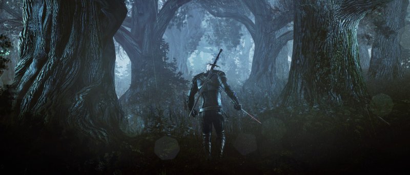 The Witcher 3 Wild Hunt Screenshot Gc 2013 03