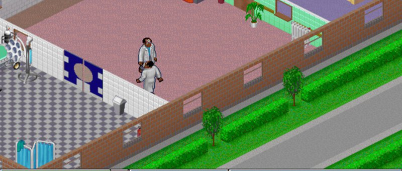 Theme Hospital 2