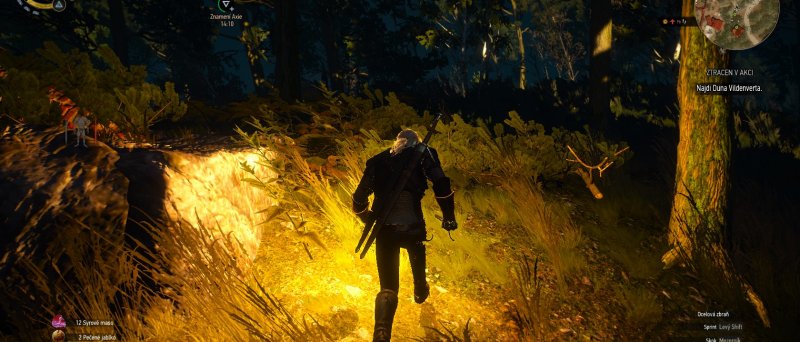 Witcher 3 Wild Hunt Screenshot 109