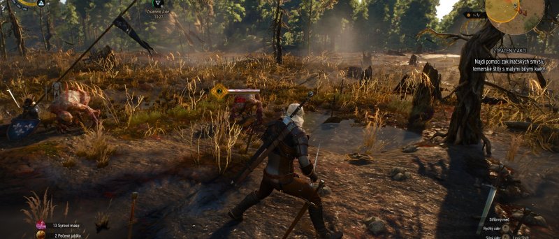 Witcher 3 Wild Hunt Screenshot 110