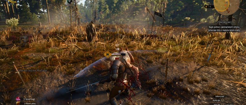 Witcher 3 Wild Hunt Screenshot 111