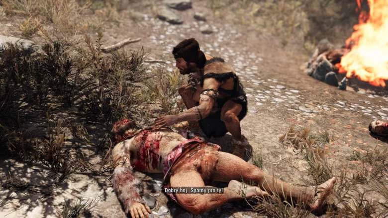 Farcry Primal 40