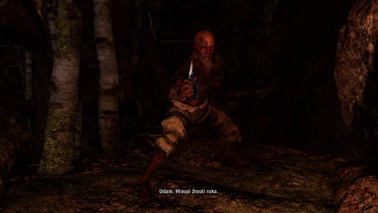 Farcry Primal 47