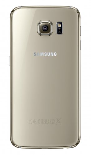 Galaxy S 6 Back Gold Platinum