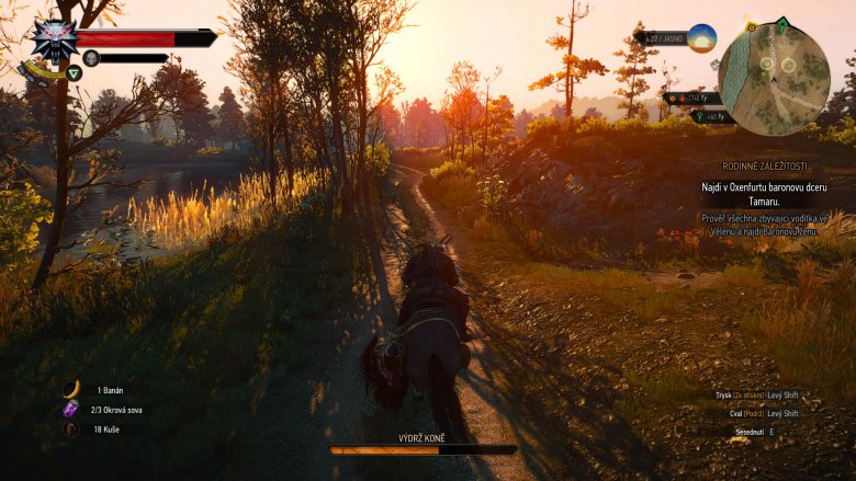 Witcher 3 2015 05 24 01 33 48 85