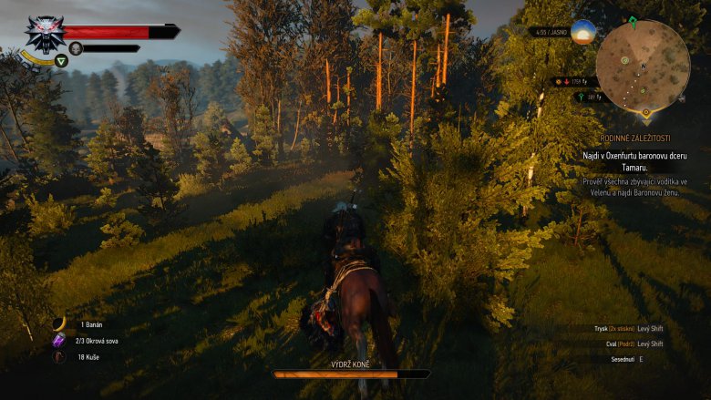 Witcher 3 2015 05 24 01 36 21 29