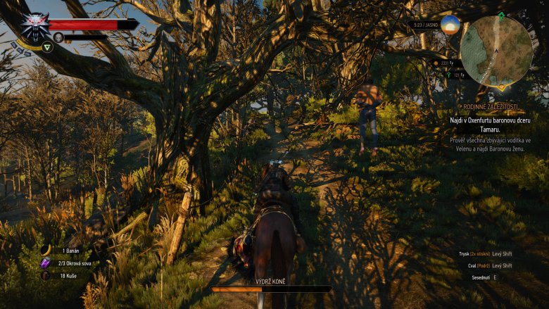 Witcher 3 2015 05 24 01 38 25 25