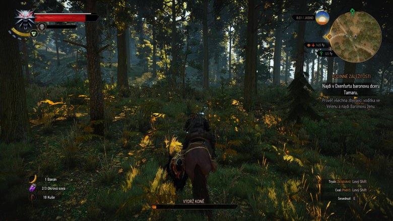 Witcher 3 2015 05 24 01 41 15 87