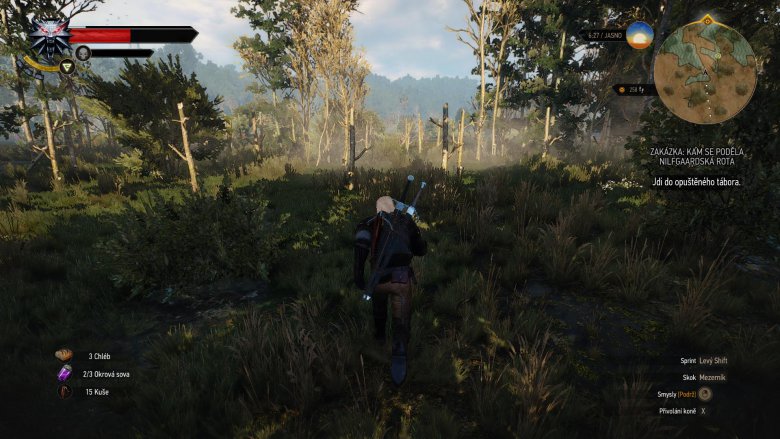 Witcher 3 2015 05 24 03 08 32 17