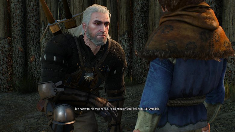 Witcher 3 2015 05 24 03 22 59 18