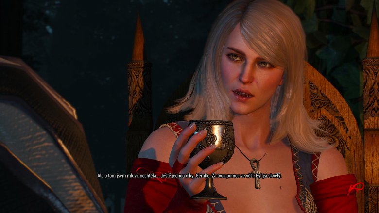 Witcher 3 2015 05 24 18 02 54 72