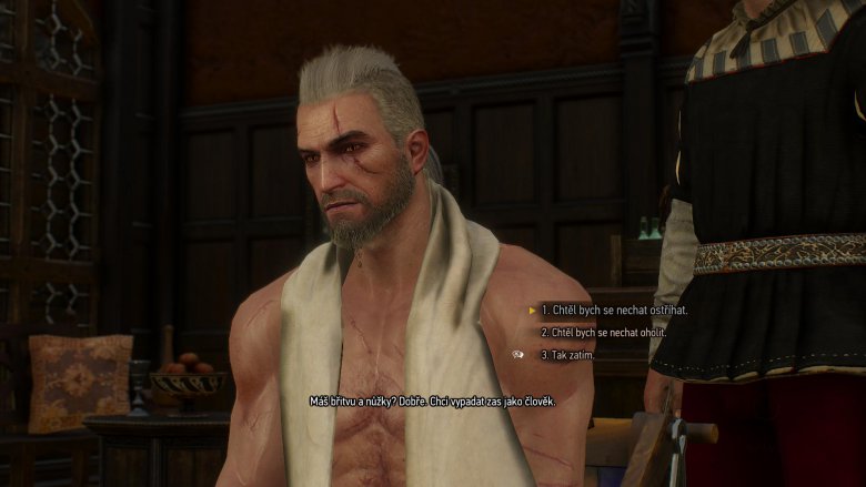 Witcher 3 2015 05 24 21 44 46 86