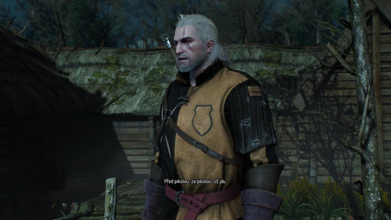 Witcher 3 2015 05 24 22 15 09 11