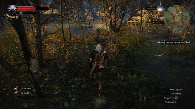 Witcher 3 2015 05 24 22 38 04 14