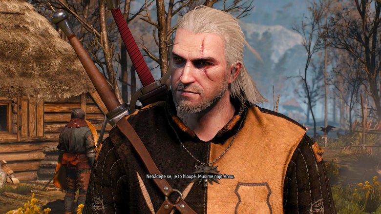 Witcher 3 2015 05 25 01 16 17 97