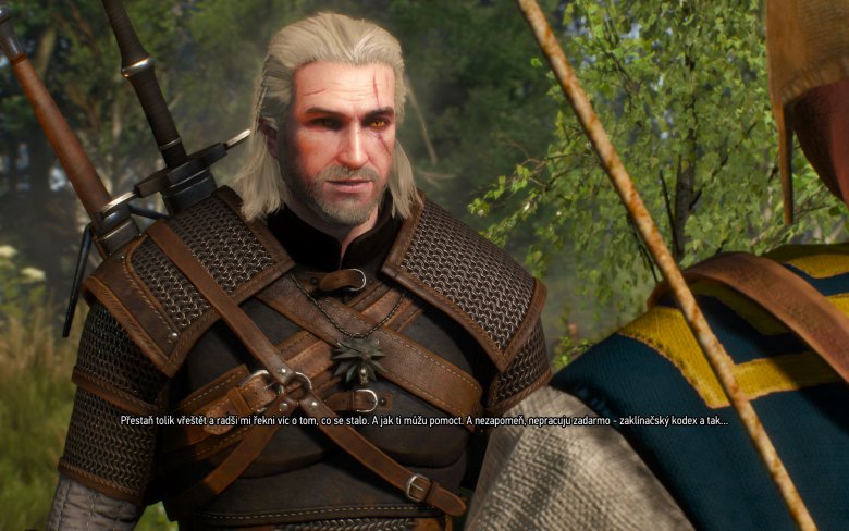 Witcher 3 Wild Hunt Screenshot 103