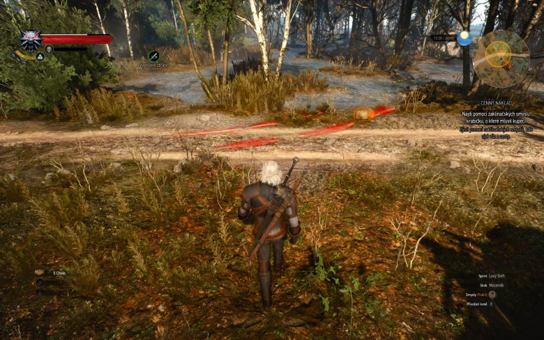 Witcher 3 Wild Hunt Screenshot 104
