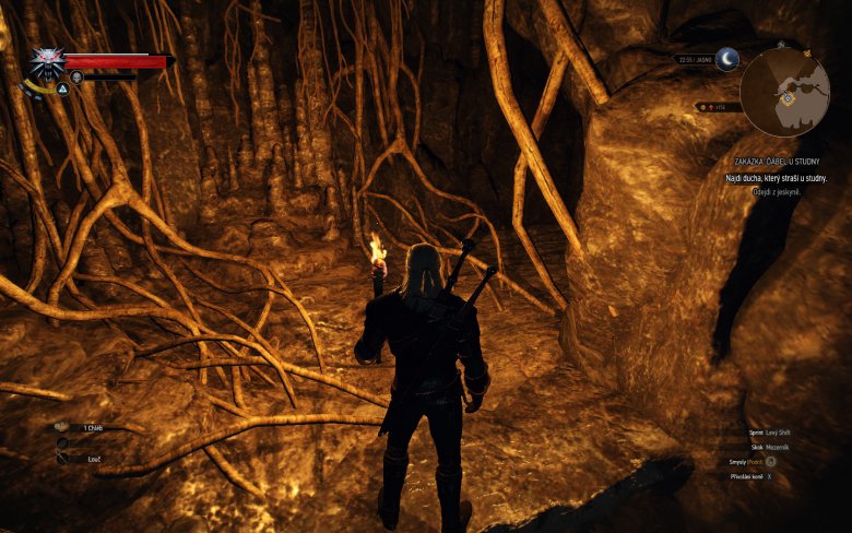 Witcher 3 Wild Hunt Screenshot 105