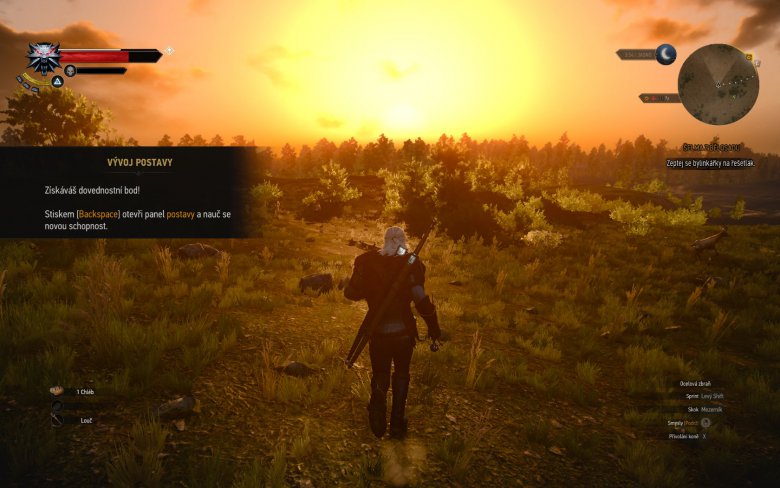Witcher 3 Wild Hunt Screenshot 106