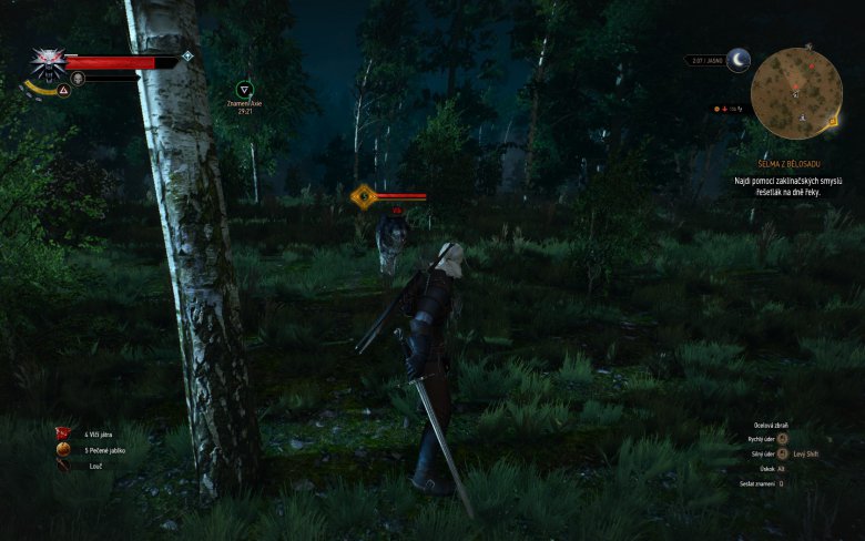 Witcher 3 Wild Hunt Screenshot 107