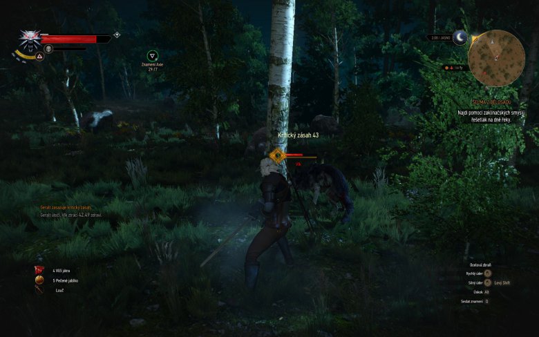 Witcher 3 Wild Hunt Screenshot 108