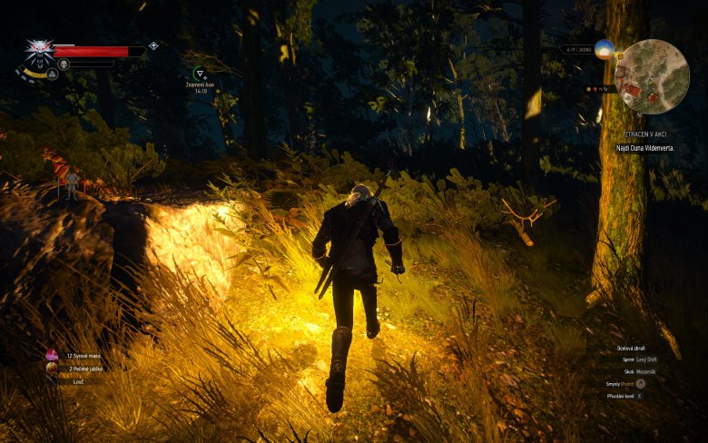 Witcher 3 Wild Hunt Screenshot 109