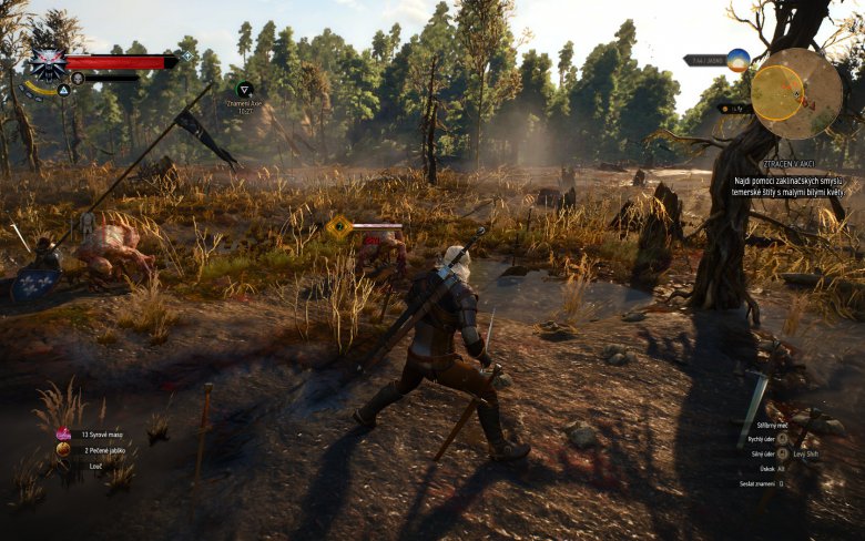 Witcher 3 Wild Hunt Screenshot 110
