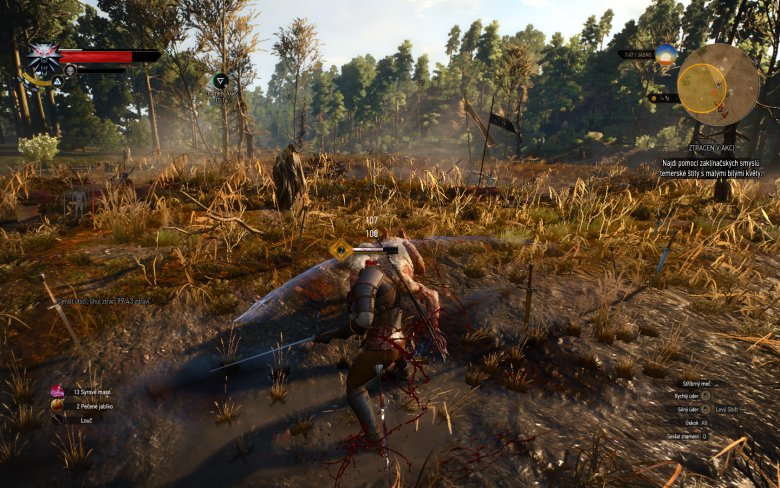 Witcher 3 Wild Hunt Screenshot 111
