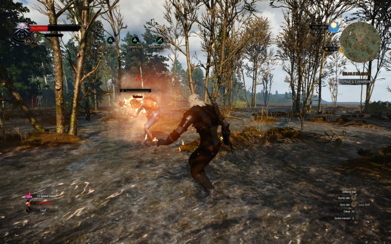 Witcher 3 Wild Hunt Screenshot 112