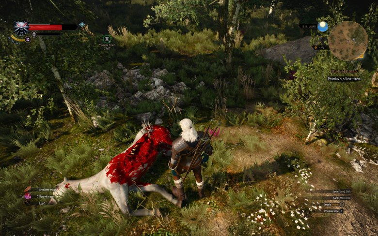 Witcher 3 Wild Hunt Screenshot 113