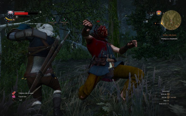 Witcher 3 Wild Hunt Screenshot 114