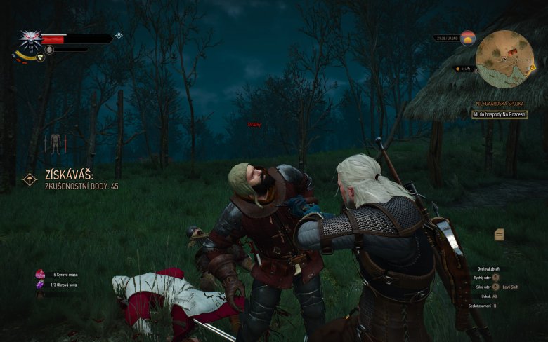 Witcher 3 Wild Hunt Screenshot 116
