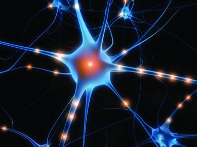 Aktivita Mozku Neurony