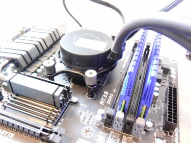 Dsc 1580 X 61