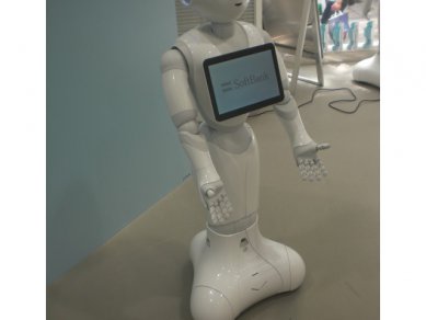 Pepper Robot 6