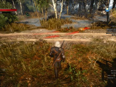 Witcher 3 Wild Hunt Screenshot 104